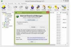 Internet Download Manager Build 11